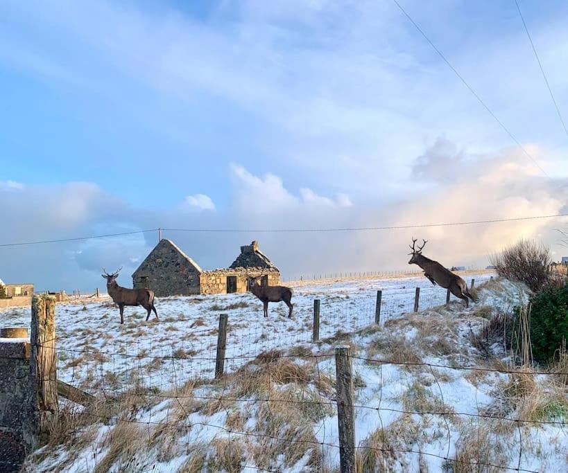 Nᴼ 21 Beautiful Cosy Modern Traditional Cottage Lionel Dış mekan fotoğraf